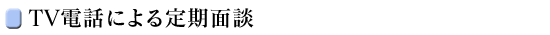 TV電話による定期面談